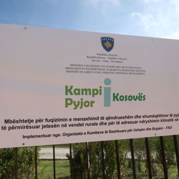 Kampi Pyjor 2024