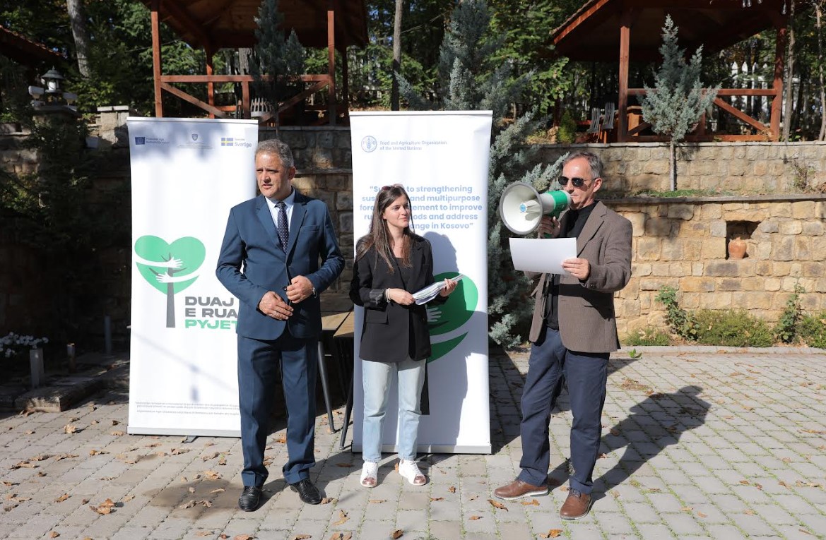Mr. Bajrush Ymeri, deputy mayor of the Municipality of Novobërda
